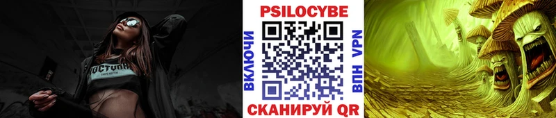 Псилоцибиновые грибы мицелий  Куровское 