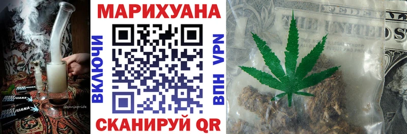 купить наркоту  Куровское  Бошки марихуана сатива 